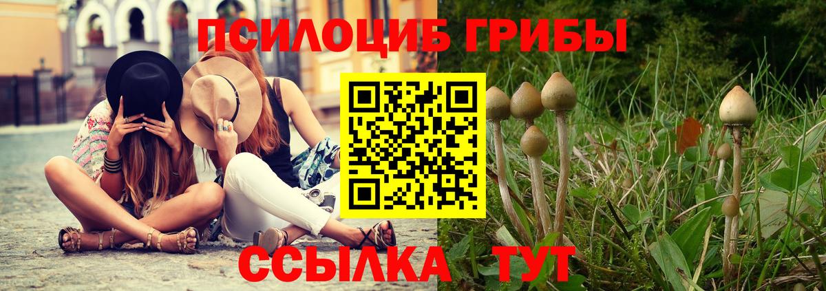Галлюциногенные грибы Psilocybe Кушва
