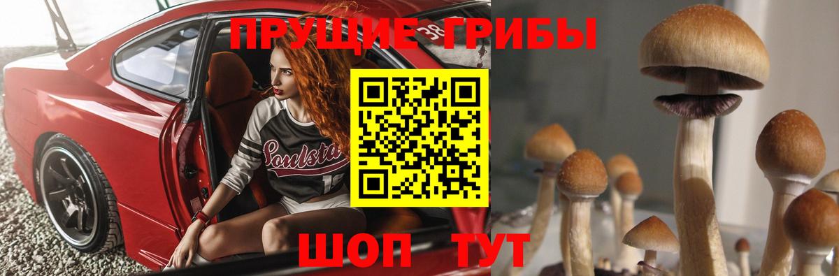 Псилоцибиновые грибы MAGIC MUSHROOMS  Псилоцибиновые грибы Psilocybe  Кушва  как найти закладки  Вход с VPN 